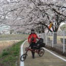 탄동천-2 이미지