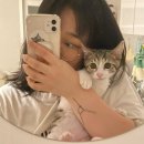 행복해져라 🍀행복해져라🍀
