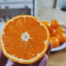 안당농장 이미지