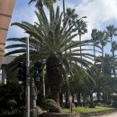 위플로 | 제주공항 5분 거리, 가성비 숙소 찾는다면? 위플 스테이 솔직후기