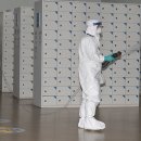 사우로 L 이미지