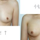 세인성형외과 이미지
