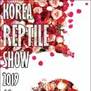 렙타일코리아 이미지