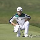 한국전관주 이미지