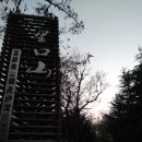 리코여행사