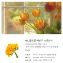 티블레스 퍼퓸 바디로션, 핸드크림, 샴푸 솔직 후기