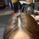 살롱드그로우
