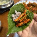 이색보쌈&반고개무침회 | [대구 푸른회식당] 반고개 무침회골목 대통령도 다녀간 오징어무침 맛집~ 납작만두 존맛👍🏻👍🏻👍🏻