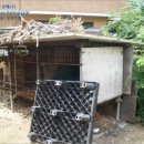 초부4리 이미지