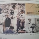 월계관 이미지