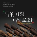 함안 성산산성 이미지
