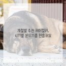 헤어가이드 - 익산시 선화로1길 57-34 | 헤어가이드