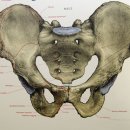 부평성모재활의학과의원 이미지