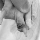 보령동물병원 이미지