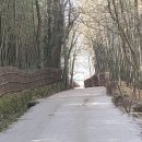 유로메디케어 이미지