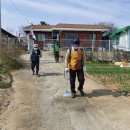 남하2리 이미지