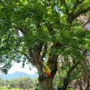 소로경로당 이미지