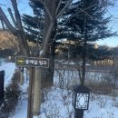 명상 - 자연 | [수치심을 위한 자기연민 워크샵 후기_자연명상마을 옴뷔] 오대산 憐歌