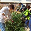 신광초등학교 병설유치원 이미지