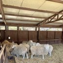 지윤목장 이미지