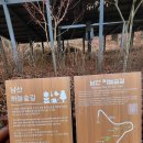 남산공원길1 이미지