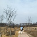호연약품 | 임신 12주,13주,14주
