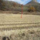 황새울목장 이미지