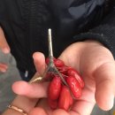 상궁농장 이미지