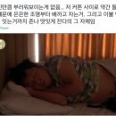 느티나무펜션민박 이미지