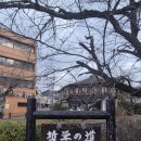 조하상점 이미지