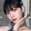 한일체육관(태권도) | 카리나 연애 사과문 외신 악명 높다 공개 비난한 이유