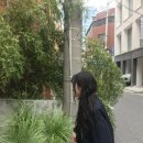 진호사 | 원하는 내가 되겠어 누구도 간섭하지 않는 그곳에