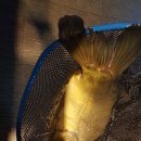 대물낚시터 이미지