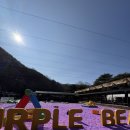 군불로 | 아이 있는 집 무조건 추천｜경북 청도 군불로 후기 (찜질·썰매·미나리삼겹살까지)