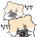 시민멸치국수 이미지