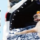 (주)아성다이소 이미지