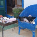 프리아트 이미지