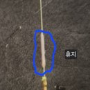 장호원낚시터 이미지