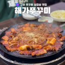 해가쭈꾸미 이미지