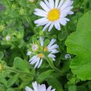 해송펜션 이미지