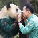 데굴데굴 이미지