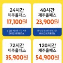 (주)우진팜 | 칠순여행겸 초딩졸업여행 제주올패스사용후기