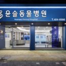 윤슬동물병원 이미지