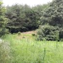 황룡2리마을회관 이미지