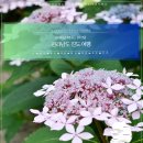 혈도농장 | 전라남도 진도 가볼만한곳 - KTX 기차타고 떠나는 1박 2일 국내여행지 추천