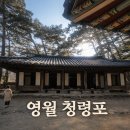 광천리 | 영월 청령포 아이와 가기 좋은 곳｜단종 유배지 직접 다녀온 후기