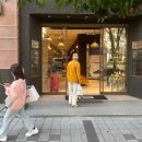 아이보리타이거 | 나고야 오니츠카타이거 매장 방문 후기! 일본에서 직접 둘러본 인기 스니커즈 쇼핑