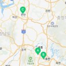 대전고양이분양 퍼피댕 캣 안심분양소 둔산점 이미지