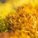 꿈해몽 (비행기.로켓.인공위성.우주선) 사주 운세 전화사주 채팅사주 사주맛집 인생사주 사주상담 이미지