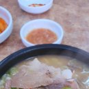 소평순대 티스토리